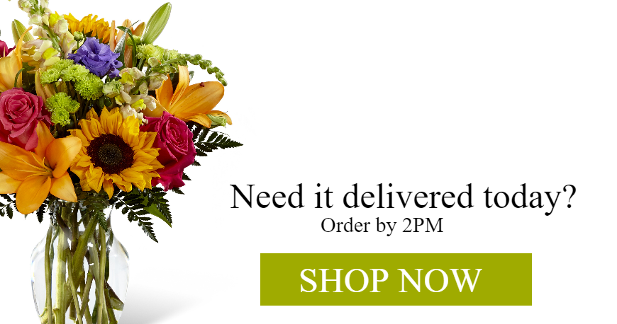 Need it delivered today?