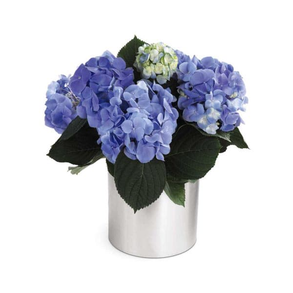 The Spring Sweetness Planter