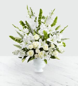 The Morning Stars Arrangment