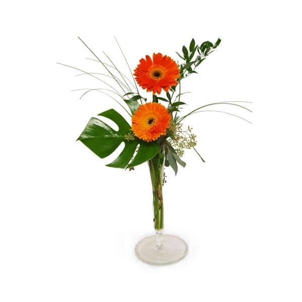 The bouquet of cheerfulness