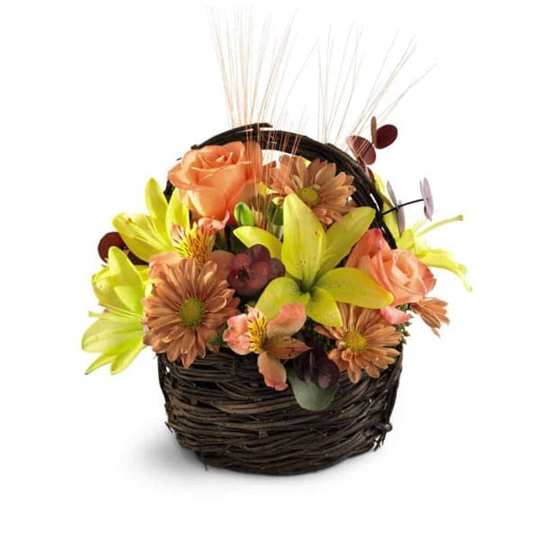 The Sensational Splendor Basket