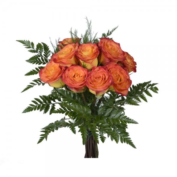Orange roses by the dozen