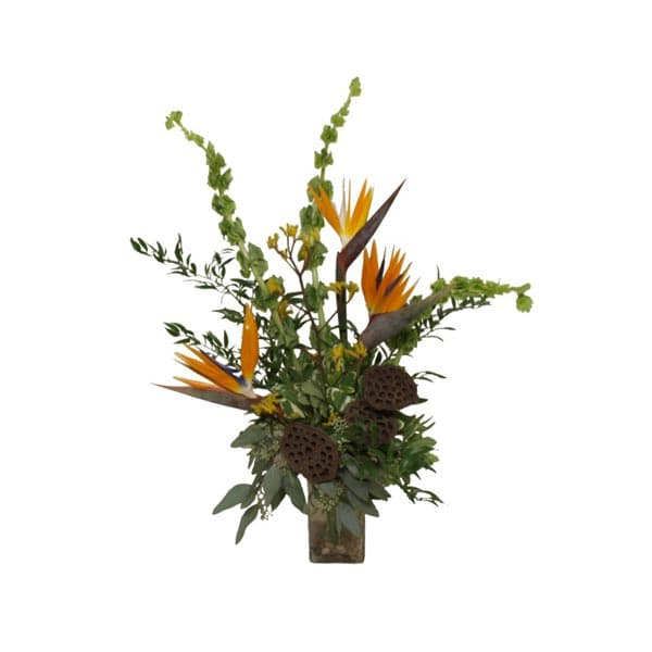 Equatorial Delight arrangement