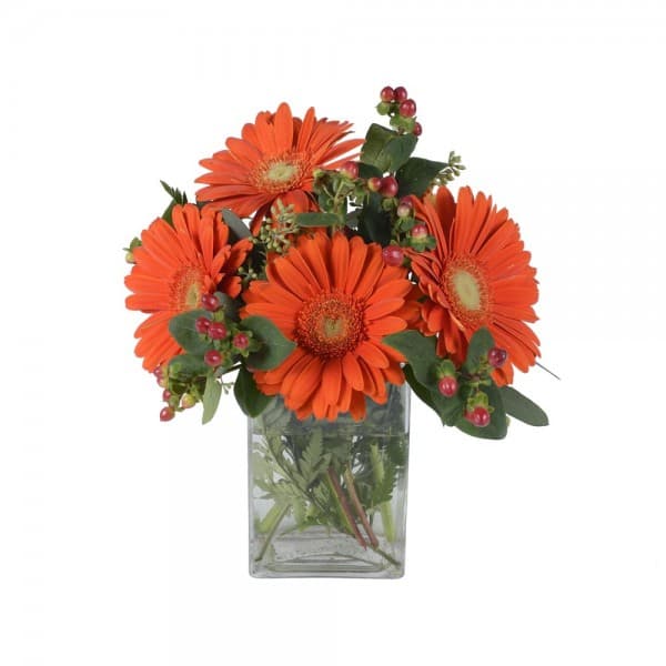 The Gerbera celebrating bouquet