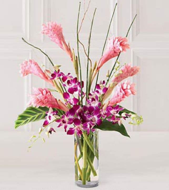 The Tropicala Arrangement