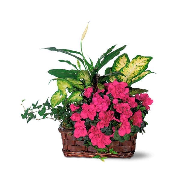 Garden Basket