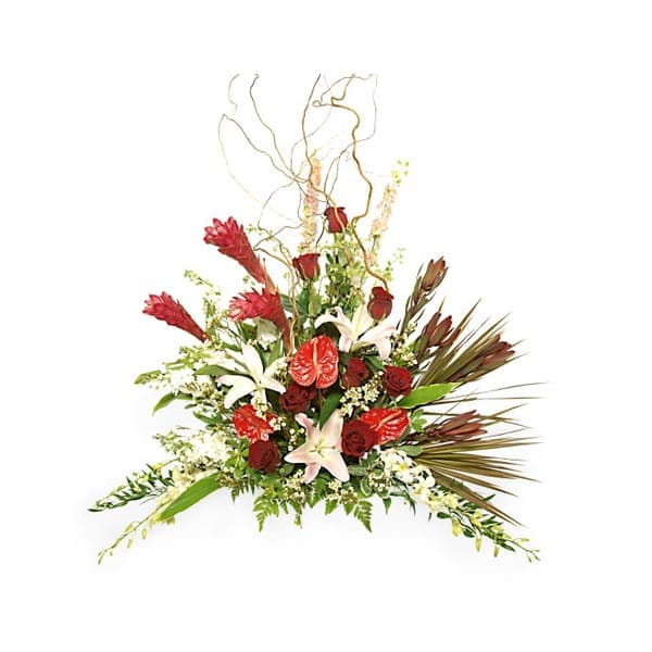 The bouquet touches of the equator
