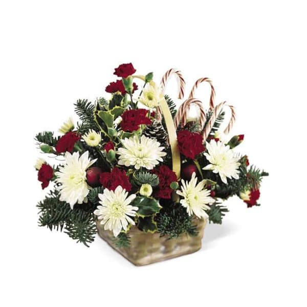 Candy Cane Lane Arrangement