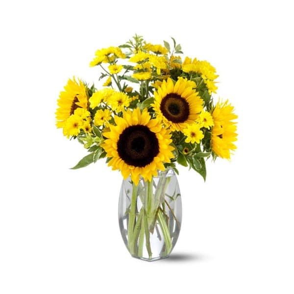 The Sunflower Splash