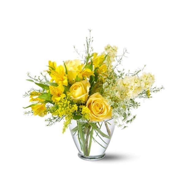 The Delicate Yellow