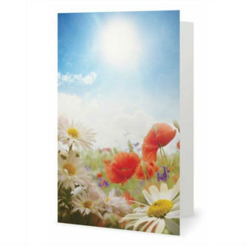 Field Flowers greeting card