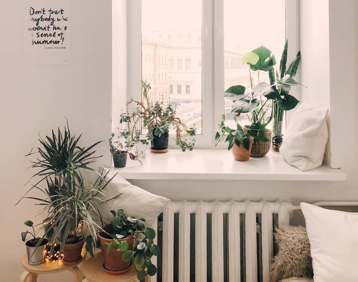 How to brighten up your home with houseplants? Having beautiful houseplants is a good way to maintain fresh smelling air.