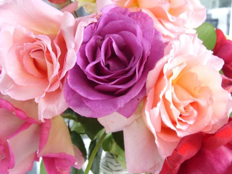 Nothing cheers up your day more than being surprised with a lovely bunch of blossoms!