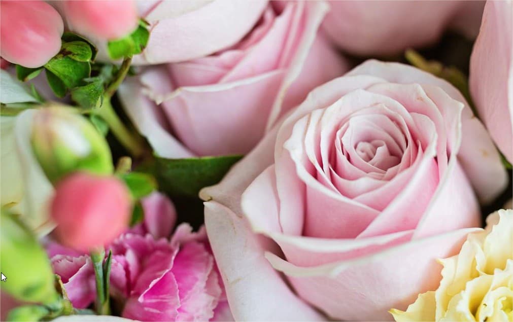It costs as little as $39.95 to send a low-cost flower delivery from flowersezgo.com . You can also buy plants and other gifts there for low-cost too. Shop for low-cost flowers and more with our low-cost flower delivery service!