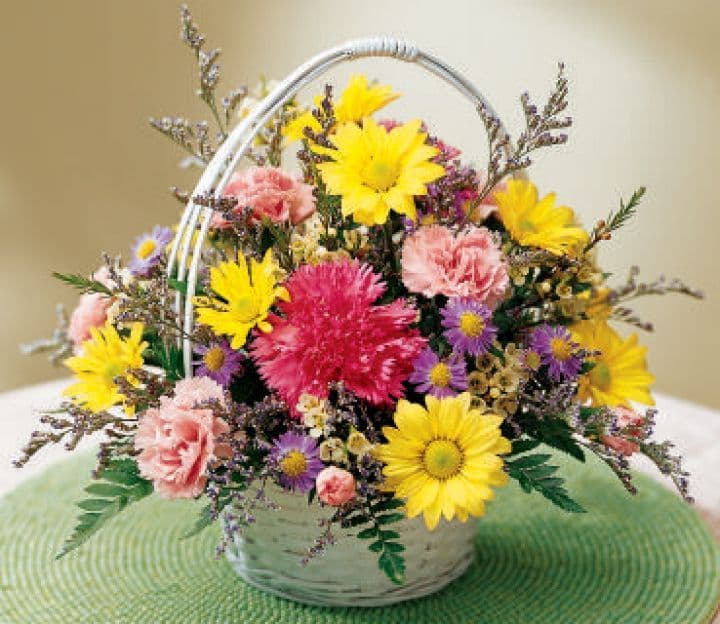 Abundance of Beauty