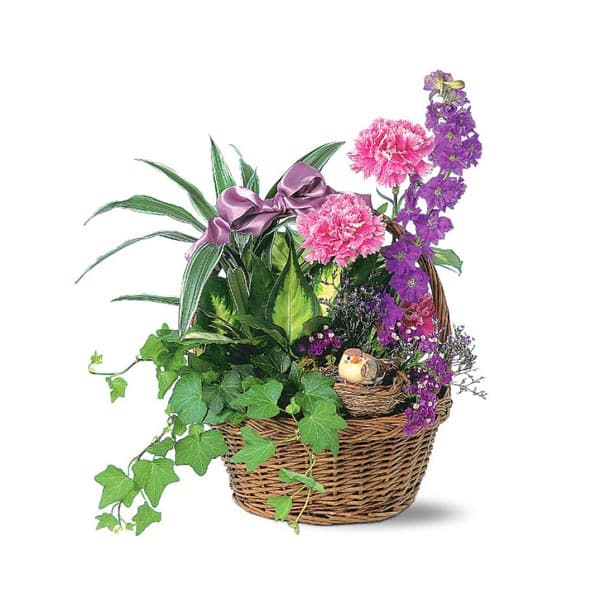 Basket Garden with Bird