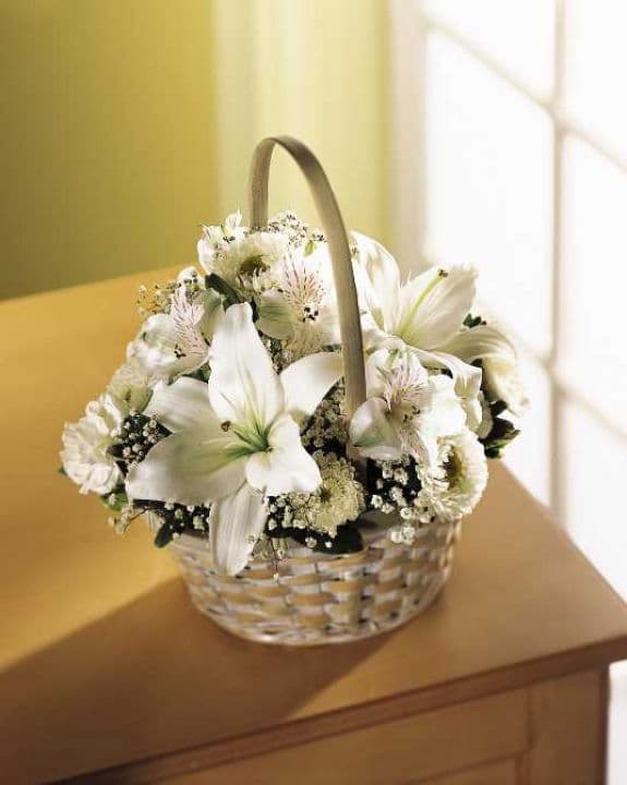 The Divinity Basket
