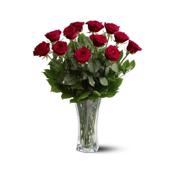 One Dozen Red Roses