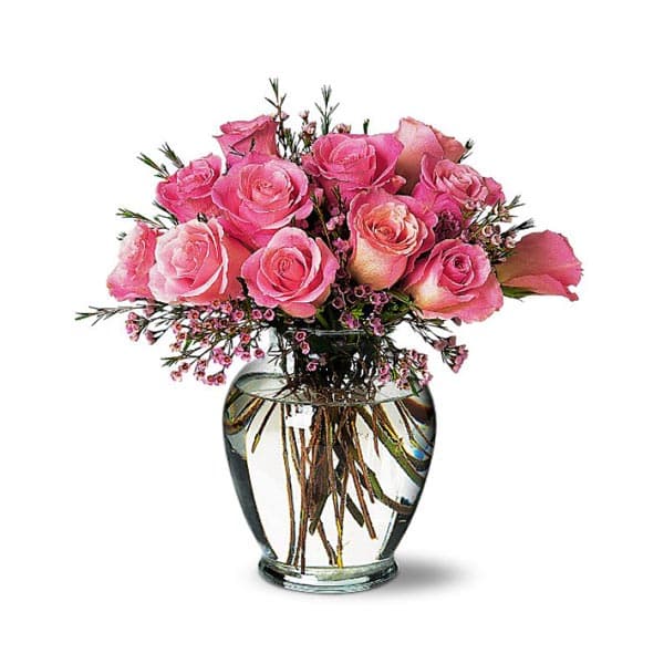 Pink Roses