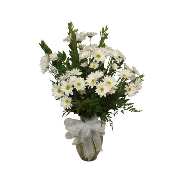 White Daisy arrangement