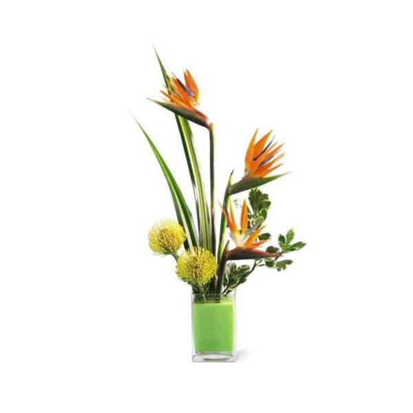 The Tropical Bright Arrangement