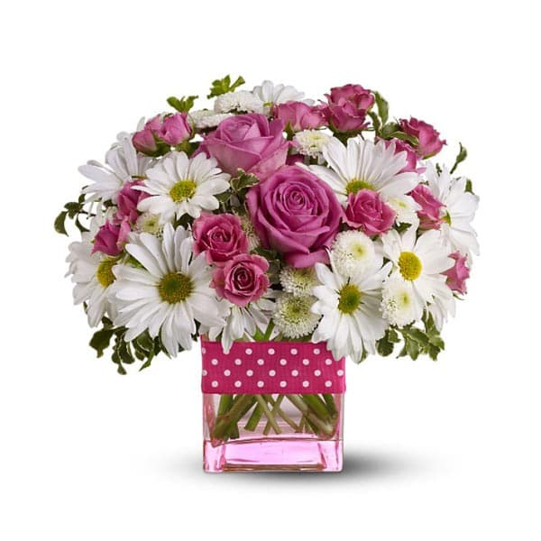The Polka Dots and Posies