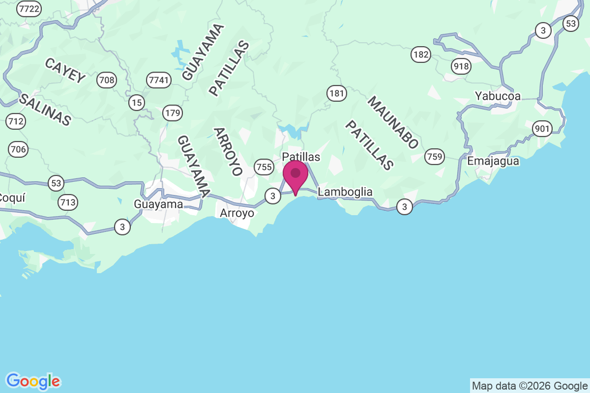 Palmas map
