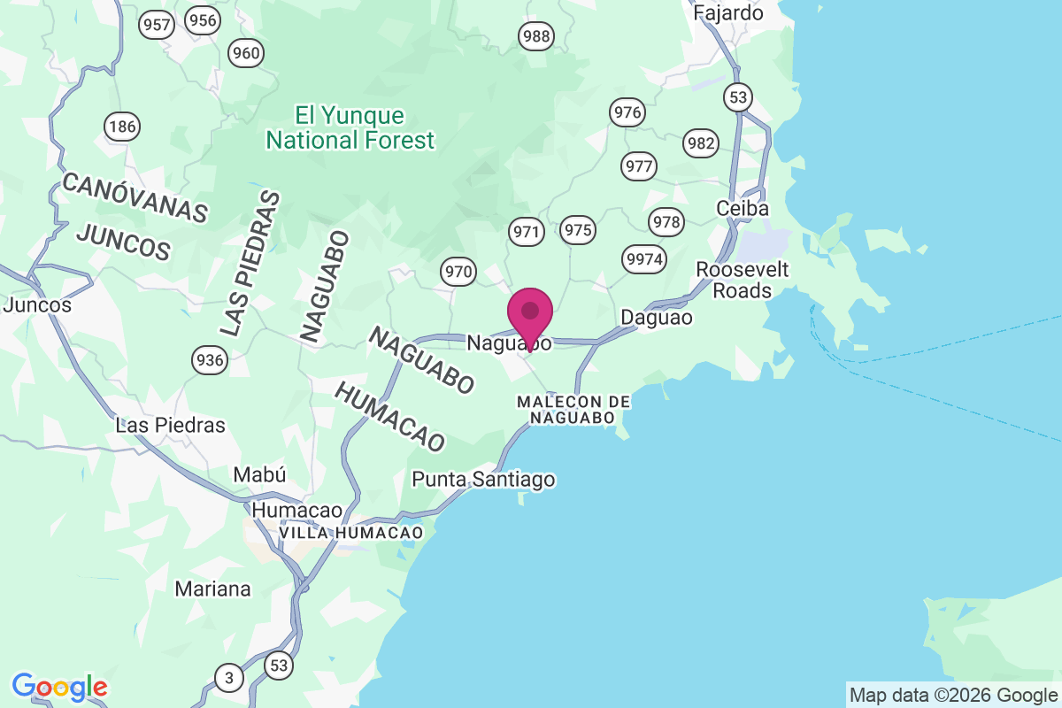 Naguabo map
