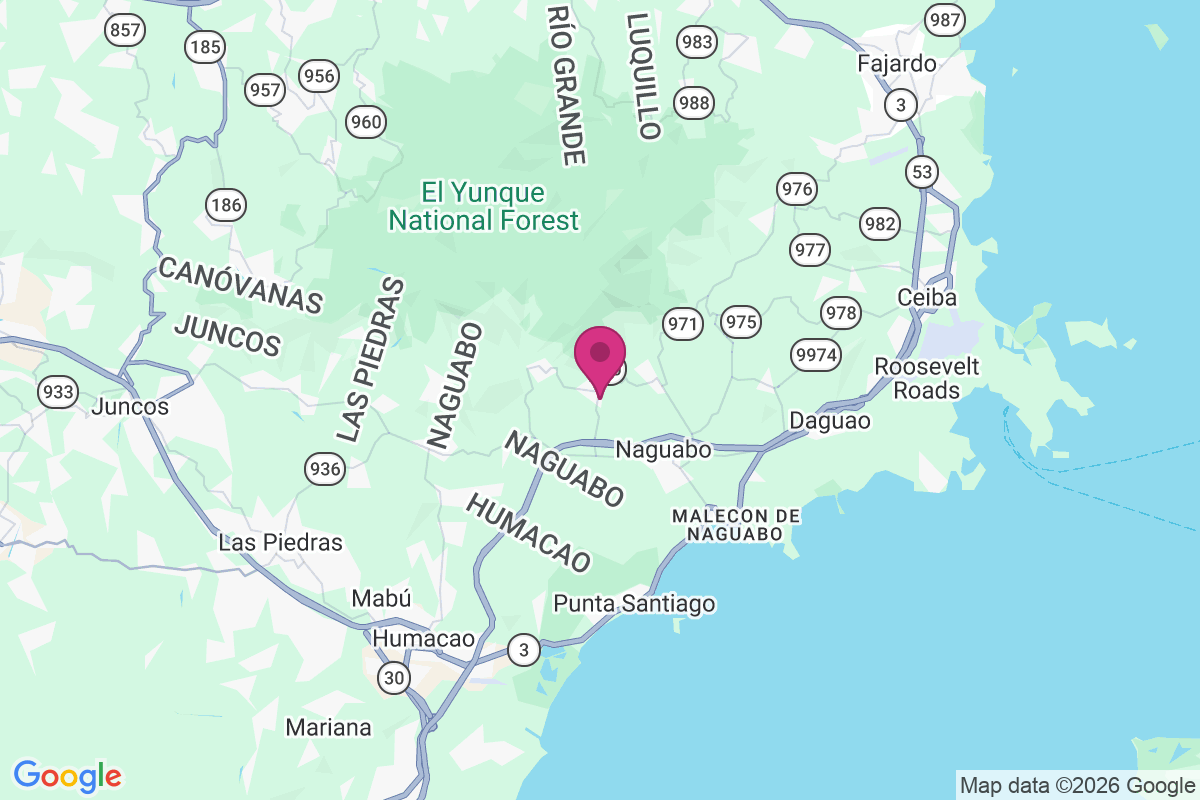 Maizales map