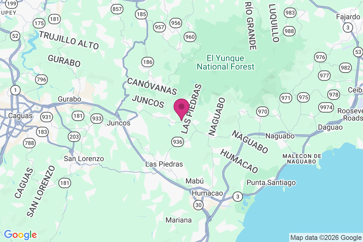Rio map