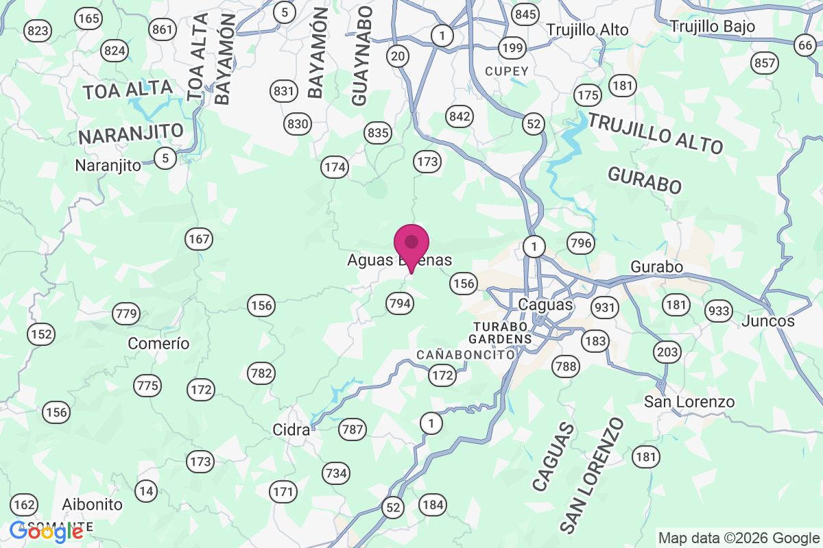 Aguas Buenas map