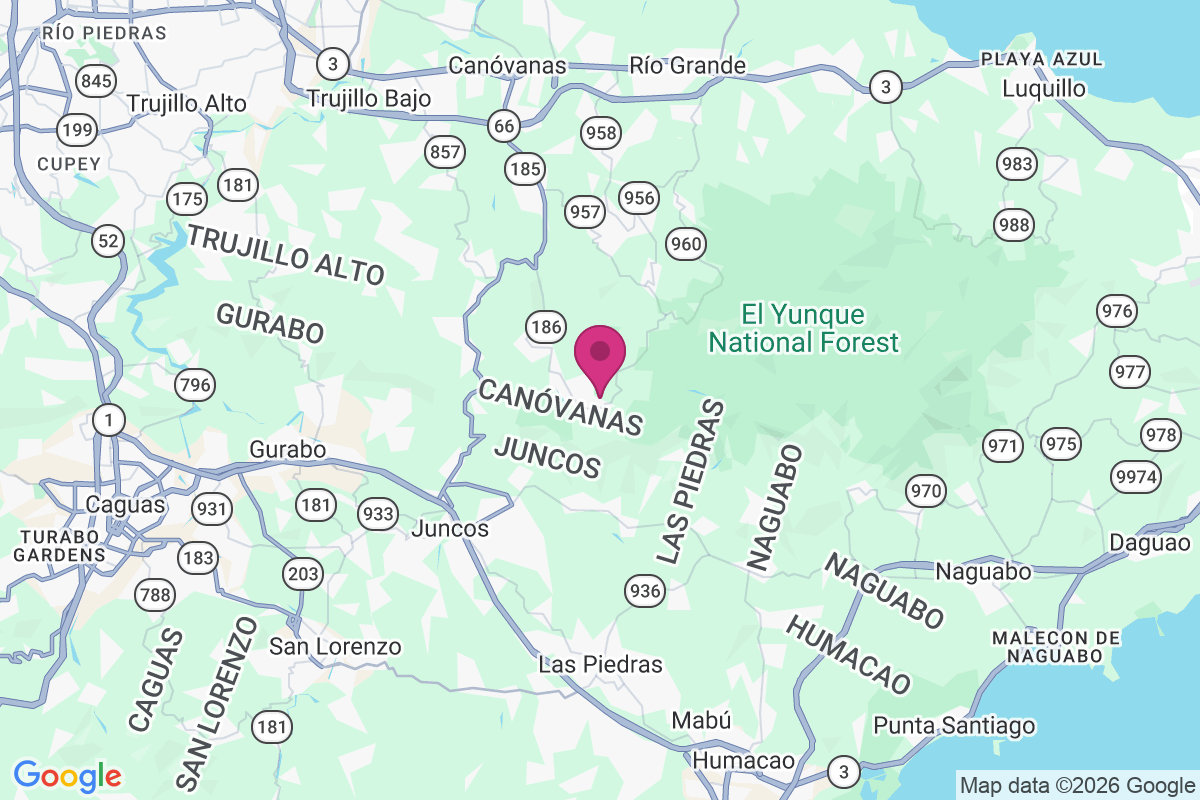 Benitez map