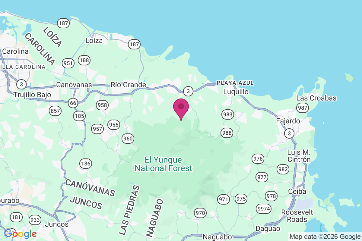 Campamento Zarzal map