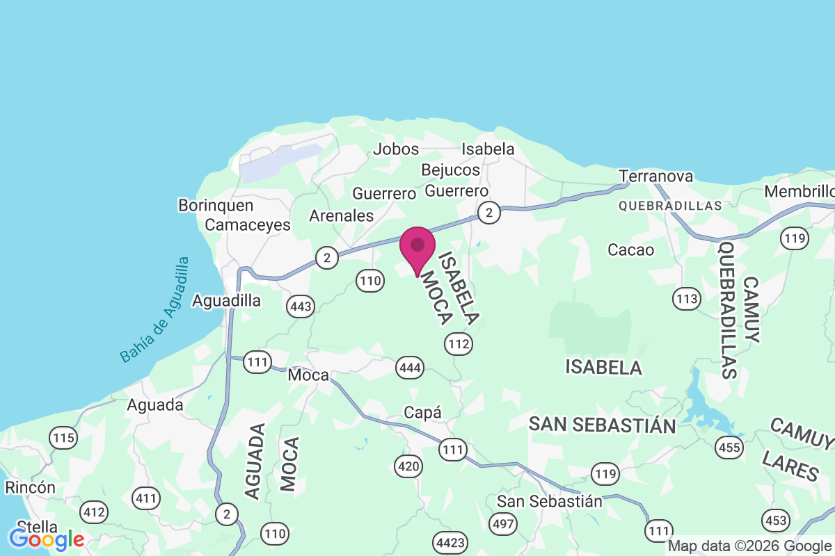 Aceitunas map