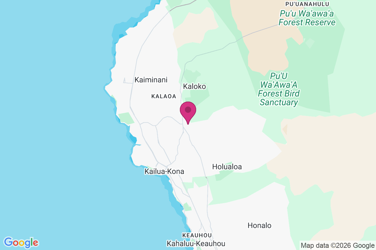Palani Junction map