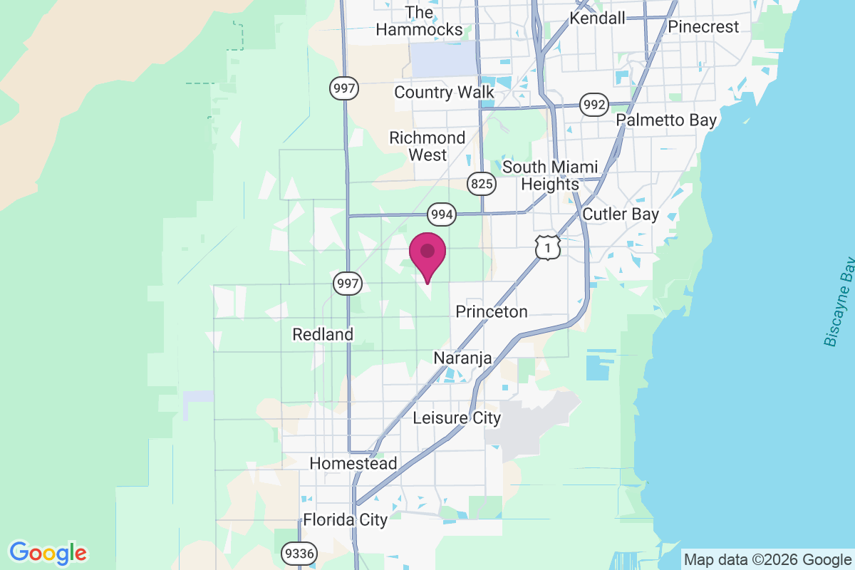 Silver Palm map