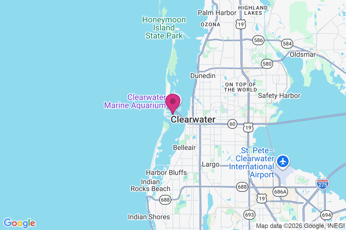 Clearwater Beach map