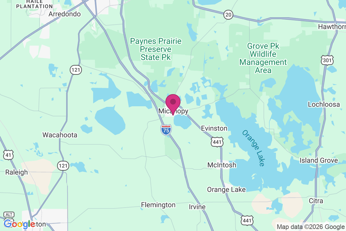 Micanopy map