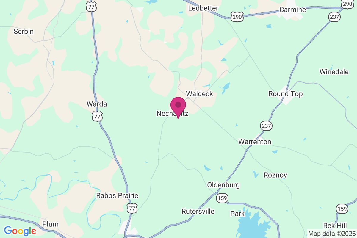 Nechanitz map