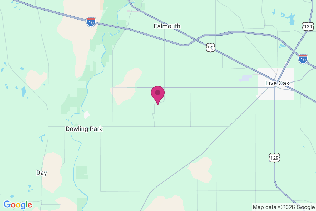 Newburn map