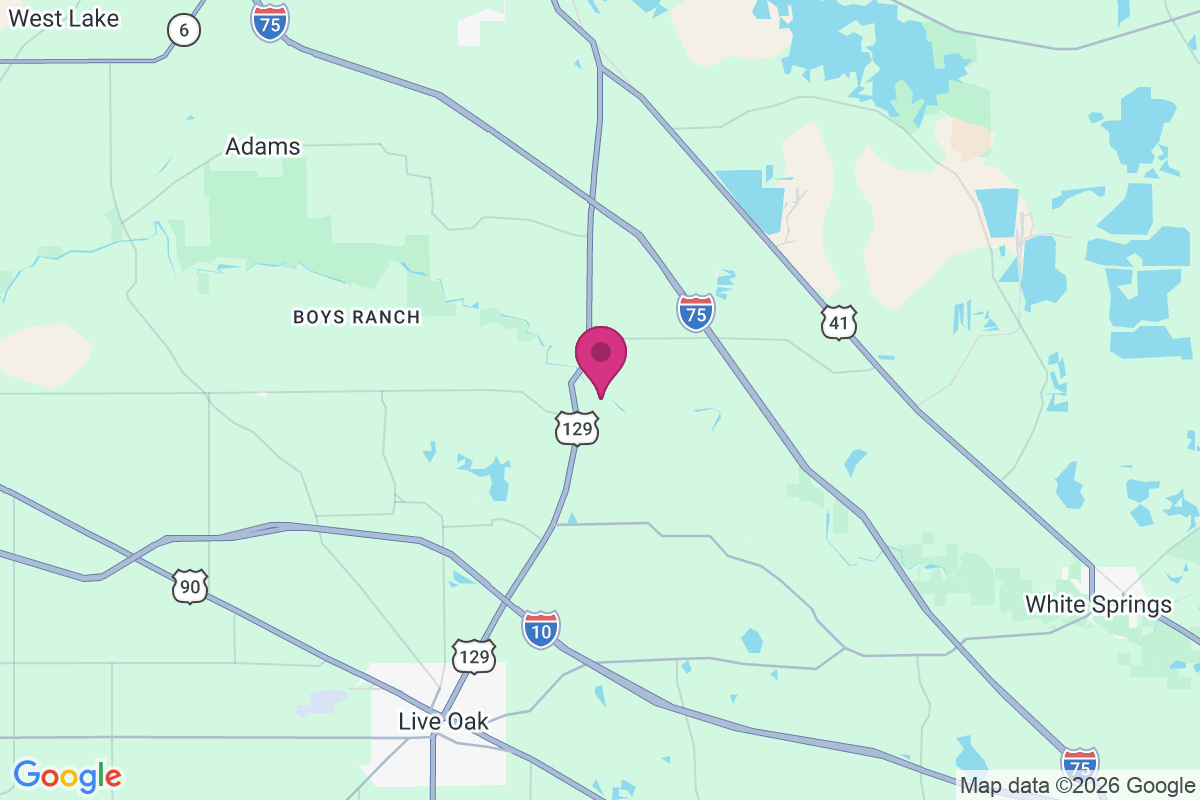 Suwannee Springs map