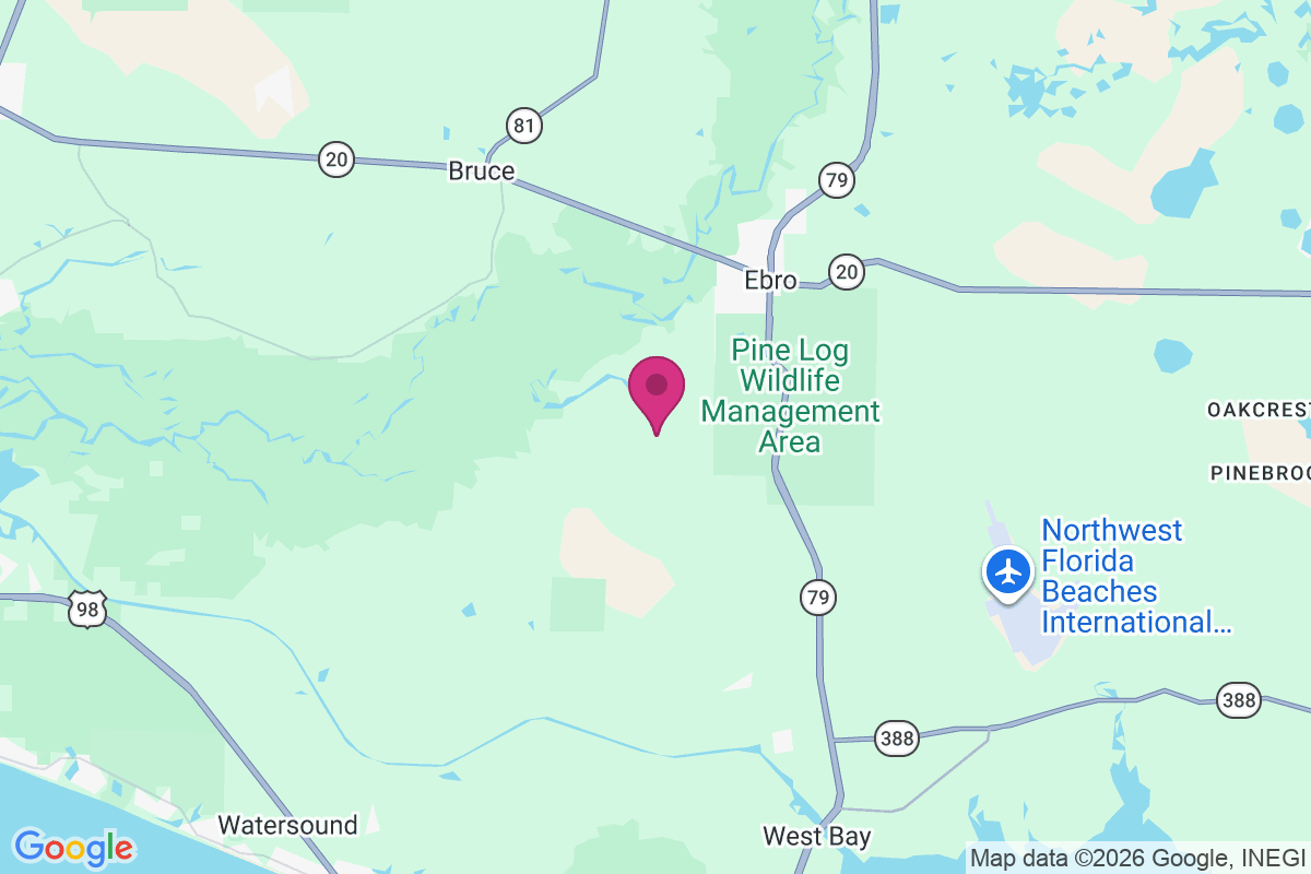 Pine Log map