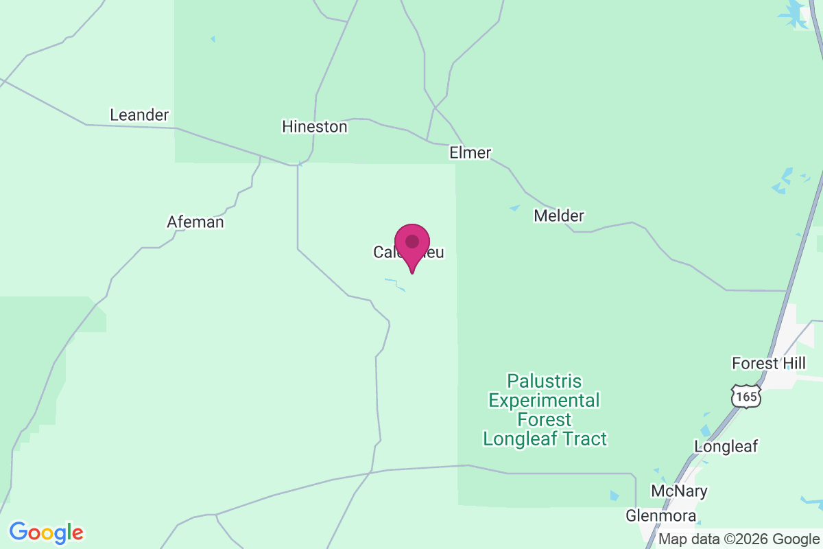 Calcasieu map