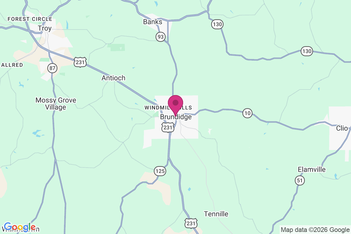 Brundidge map
