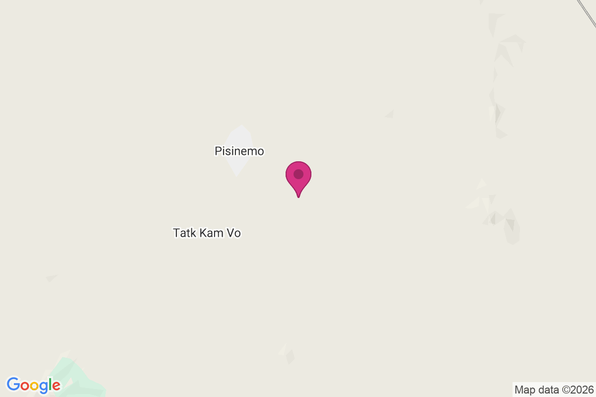 Viason Chin map
