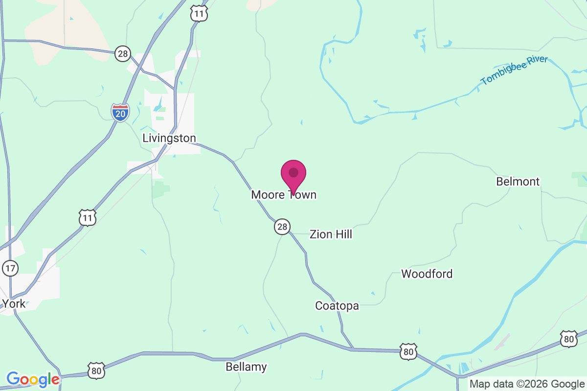 Moore Town map