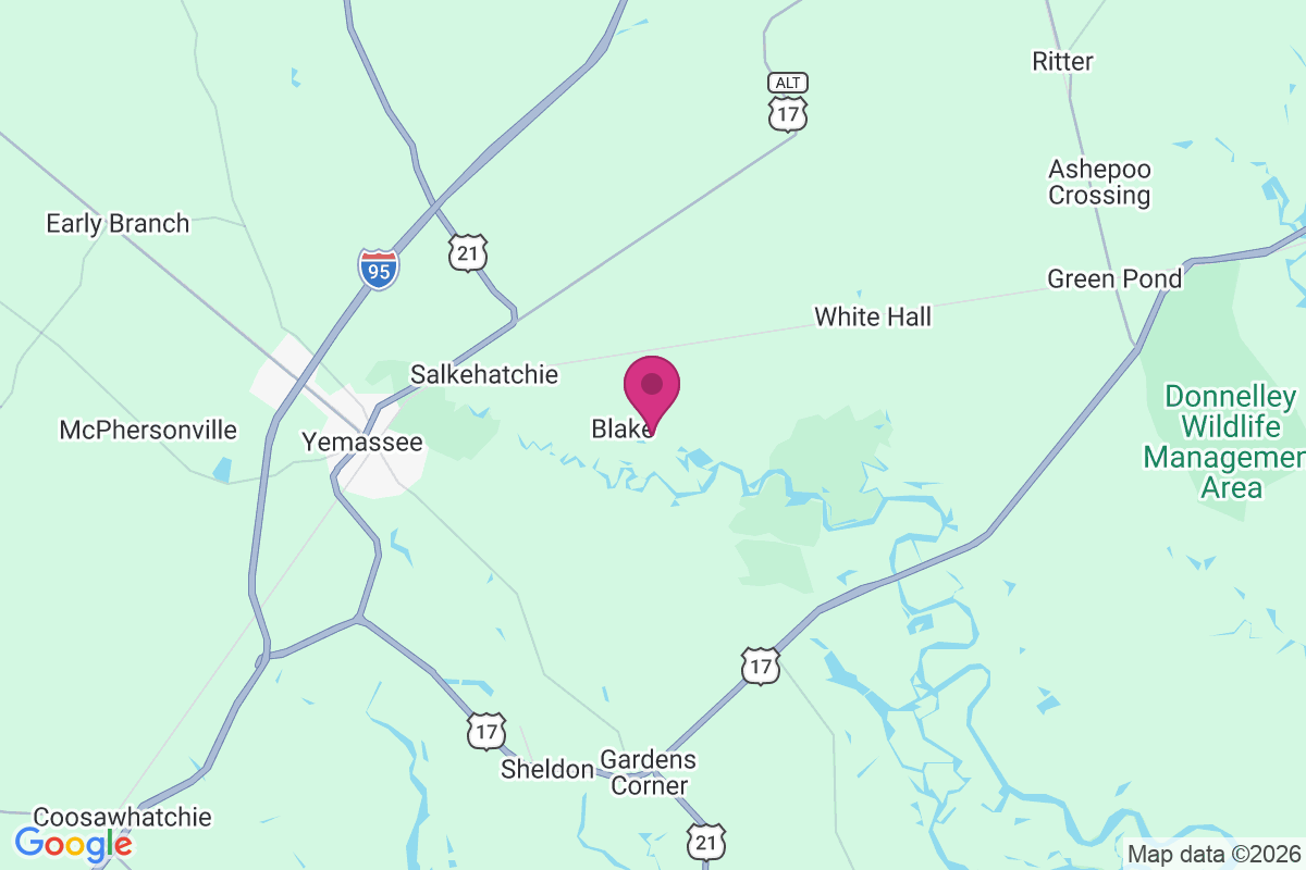 Blake map