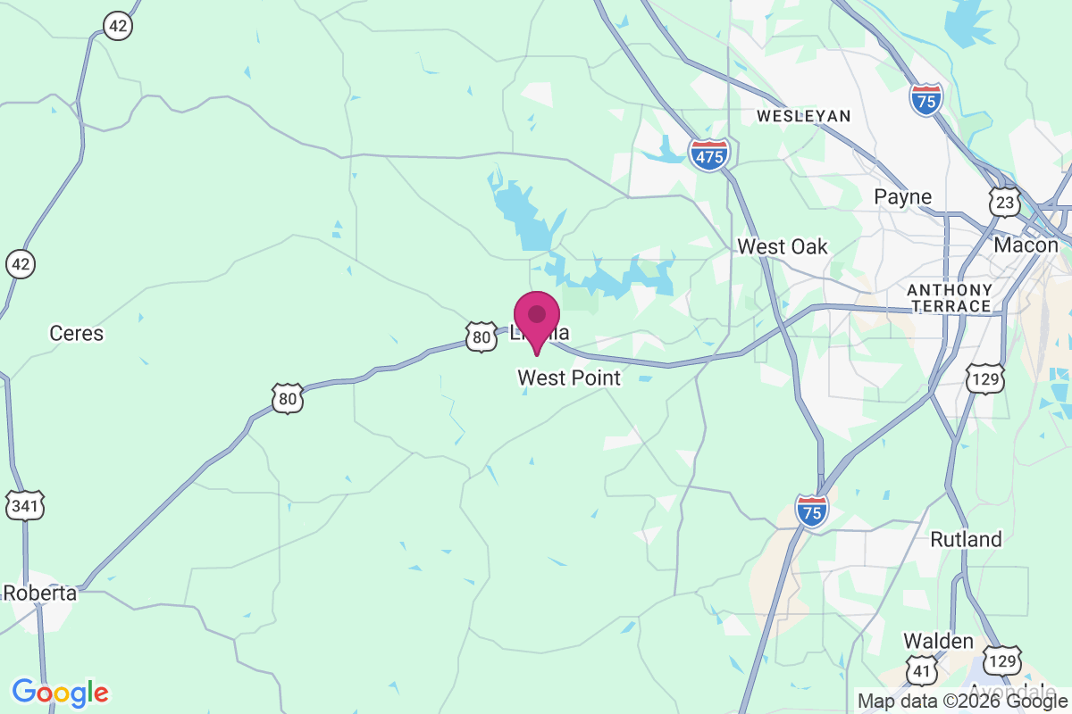 Lizella map