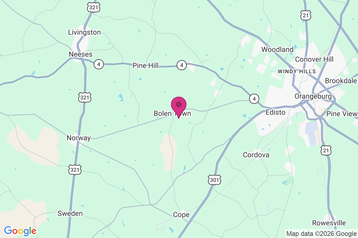 Bolen Town map