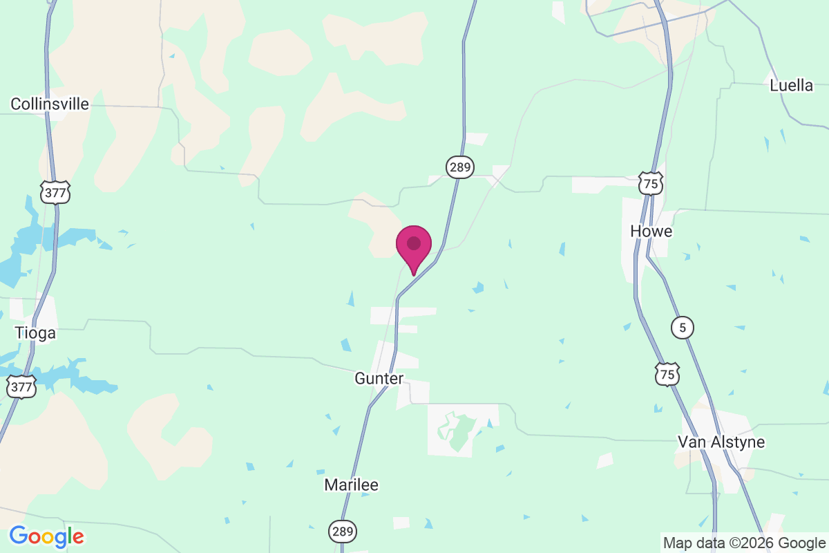 Elm View map